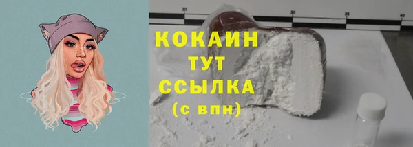 прущий лед Няндома