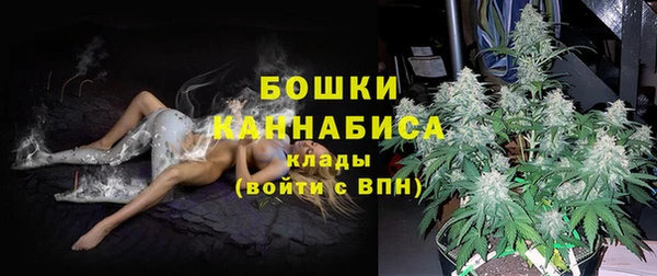 дживик Нягань