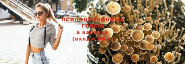 дживик Нягань